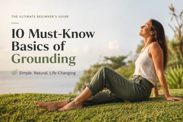 10 Must Know Basics of Grounding for Beginners